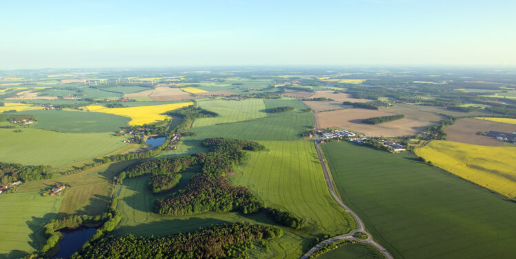 Grüne Landschaft von Oben. Felder. Wälder. Horizont.